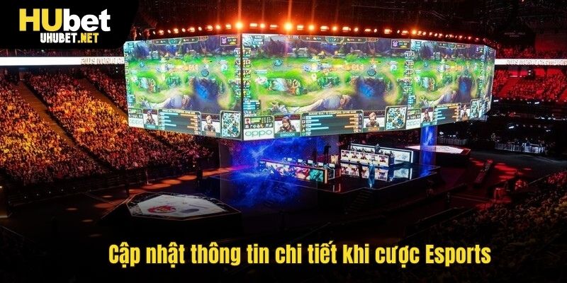 Cập nhật thông tin chi tiết khi cược Esports