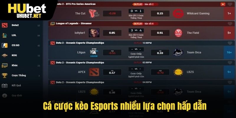 Cá cược kèo Esports nhiều lựa chọn hấp dẫn