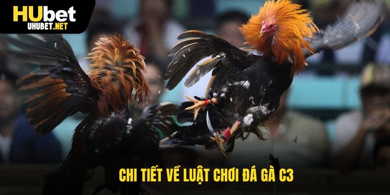 Chi tiết về luật chơi đá gà C3