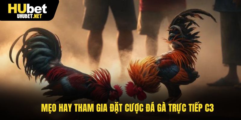 Mẹo hay tham gia đá gà trực tiếp C3