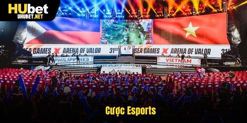 Cược Esports