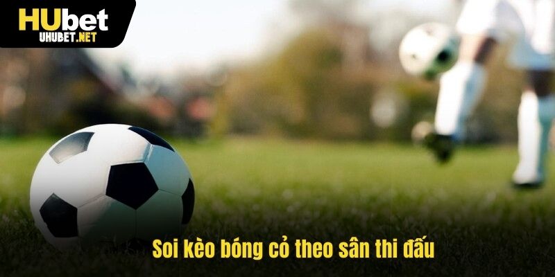Soi kèo bóng cỏ theo sân thi đấu